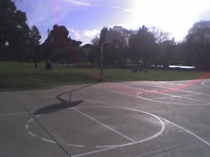 sunny circles are bright